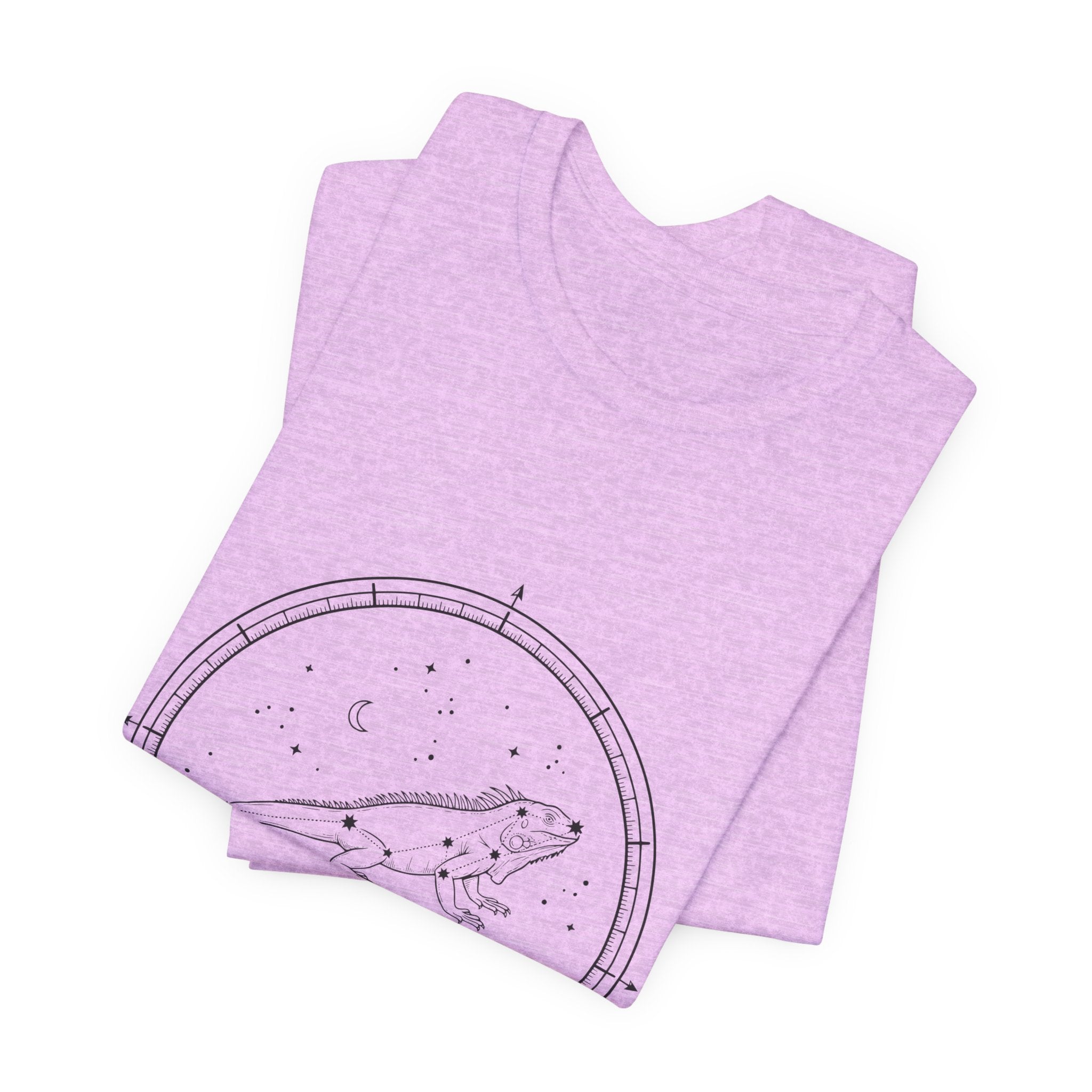 Aruba Iguana Constellation Tee