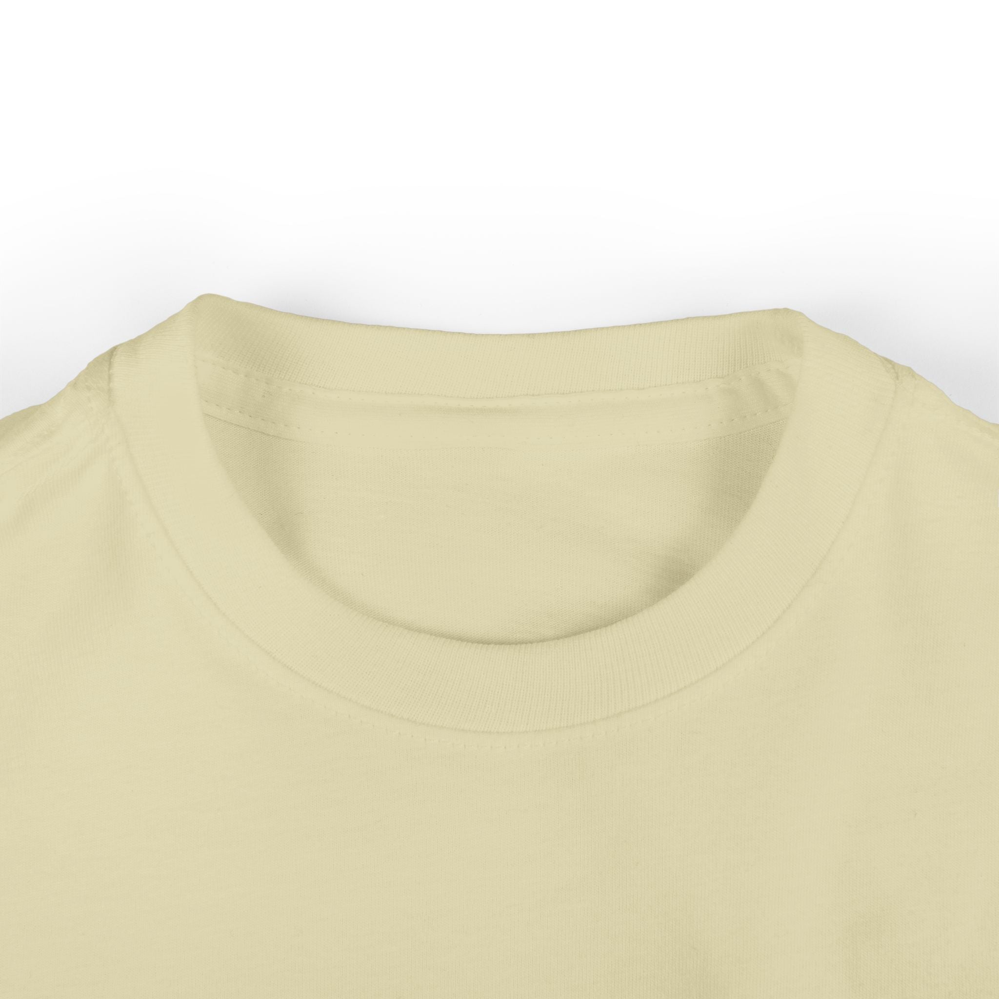 Aruba Pelican Special Delivery Baby Tee