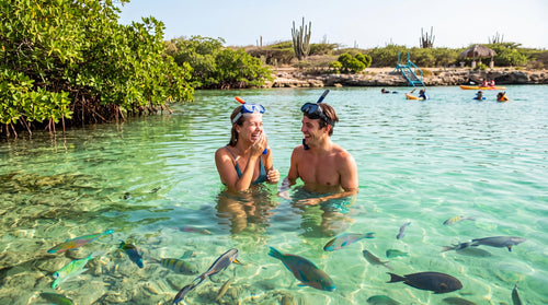 Snorkeling in clear Aruba water