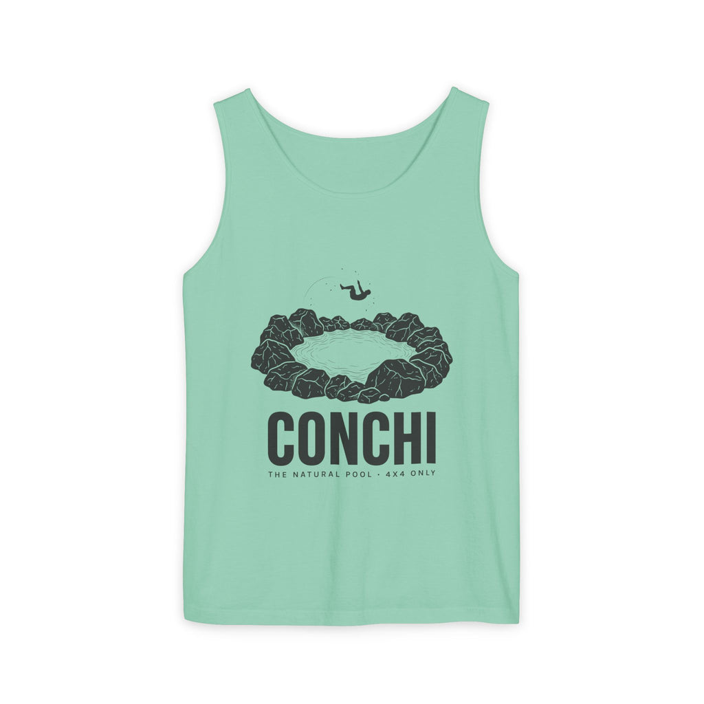 Aruba Conchi Natural Pool Tank