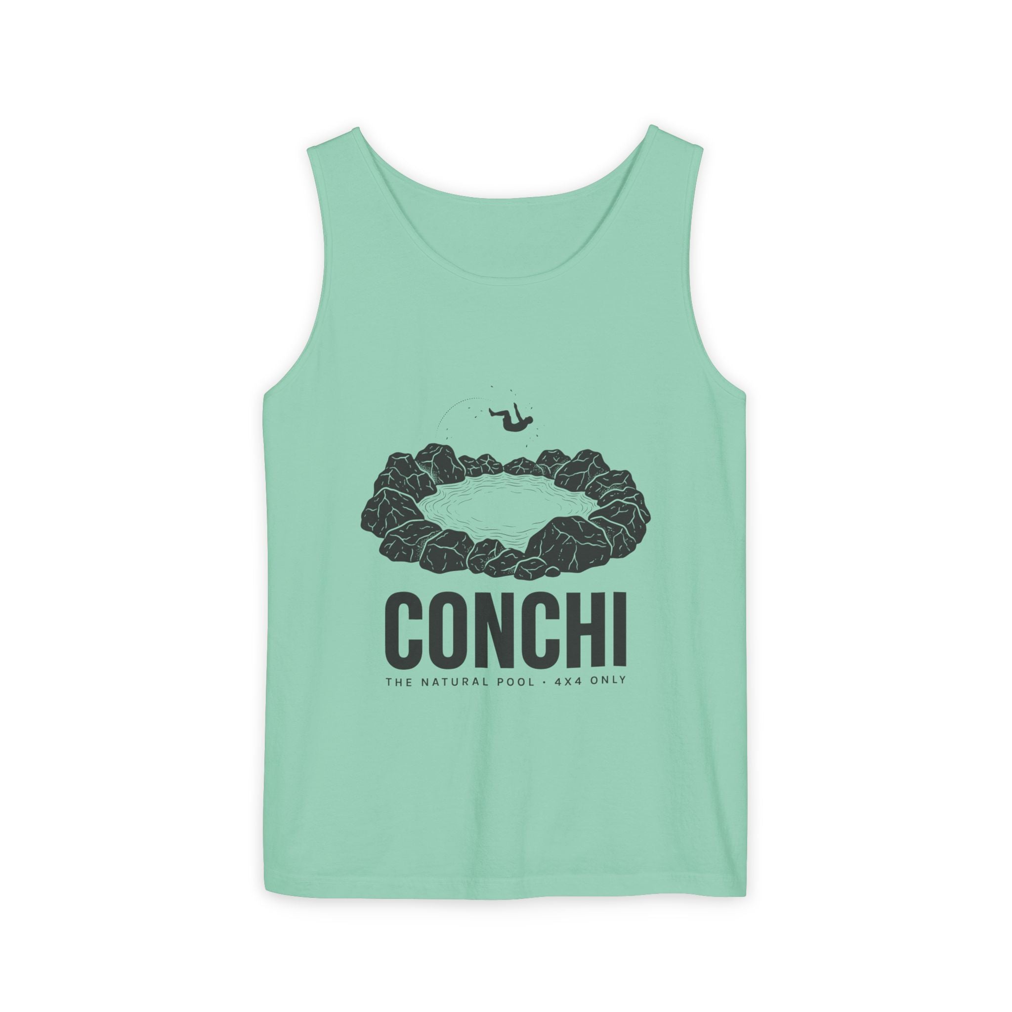 Aruba Conchi Natural Pool Tank