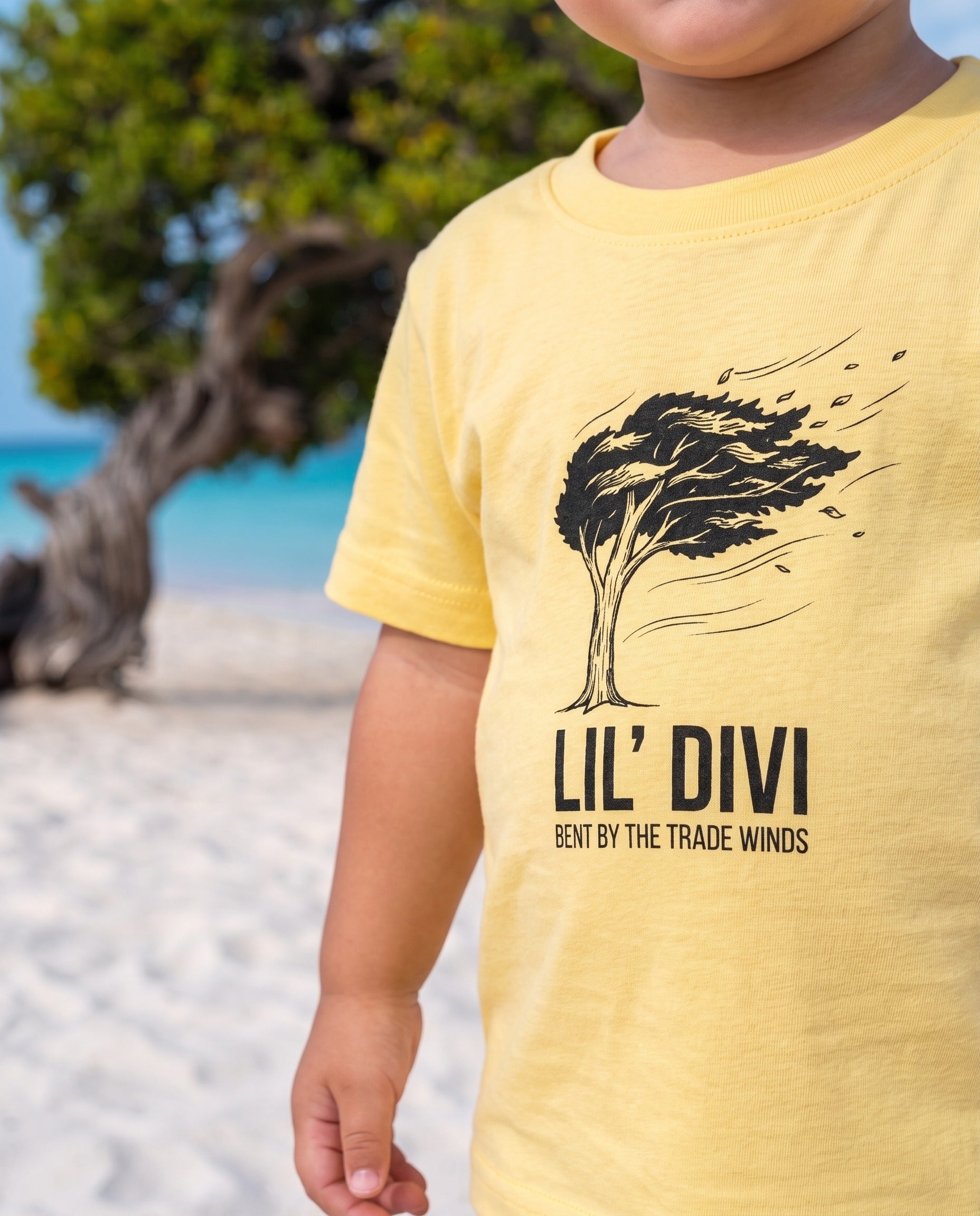 Aruba Lil' Divi Baby Tee close-up of the design, Butter