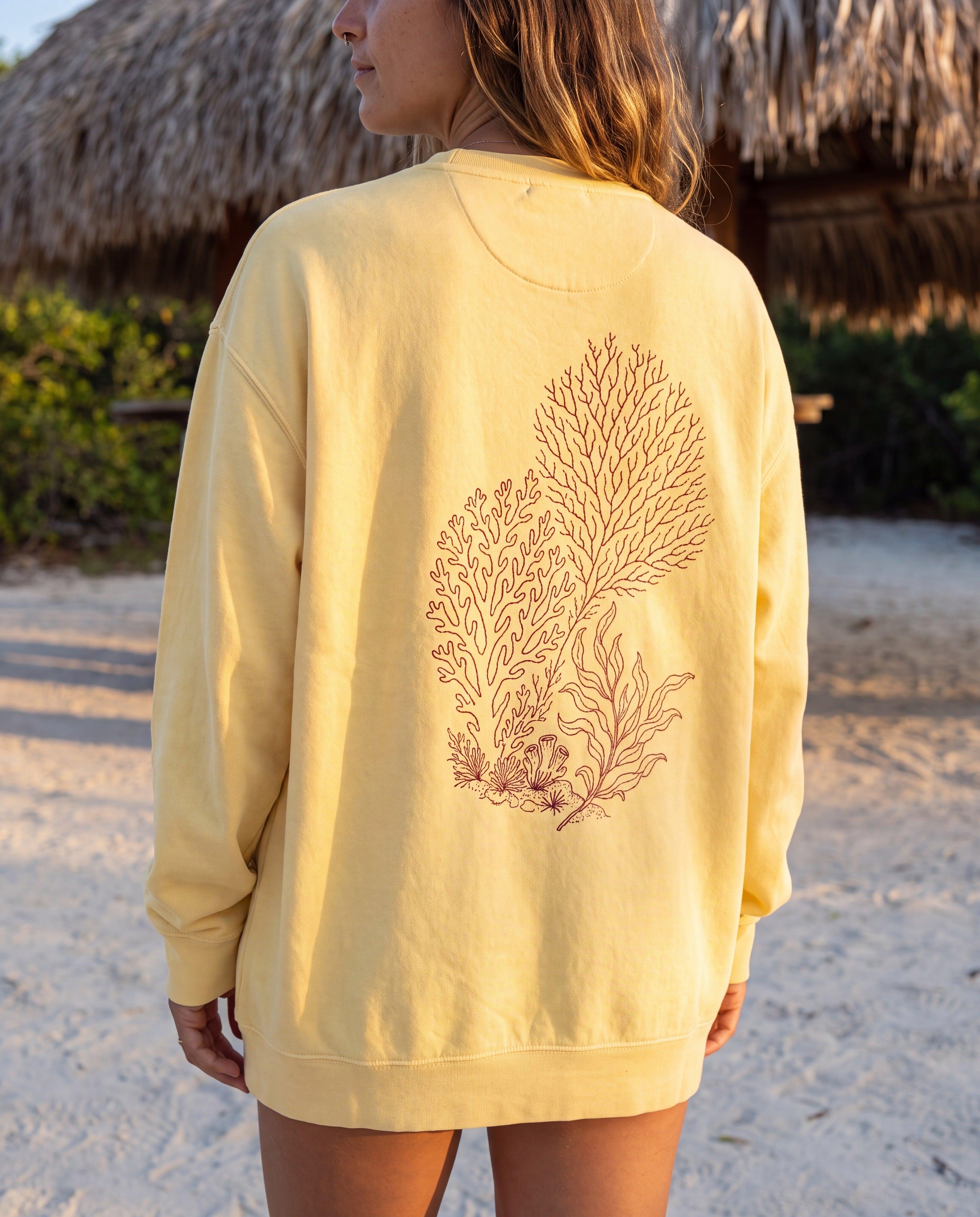 Aruba Coral and Sea Fan Redwork Sweatshirt in Butter, worn on location in Aruba