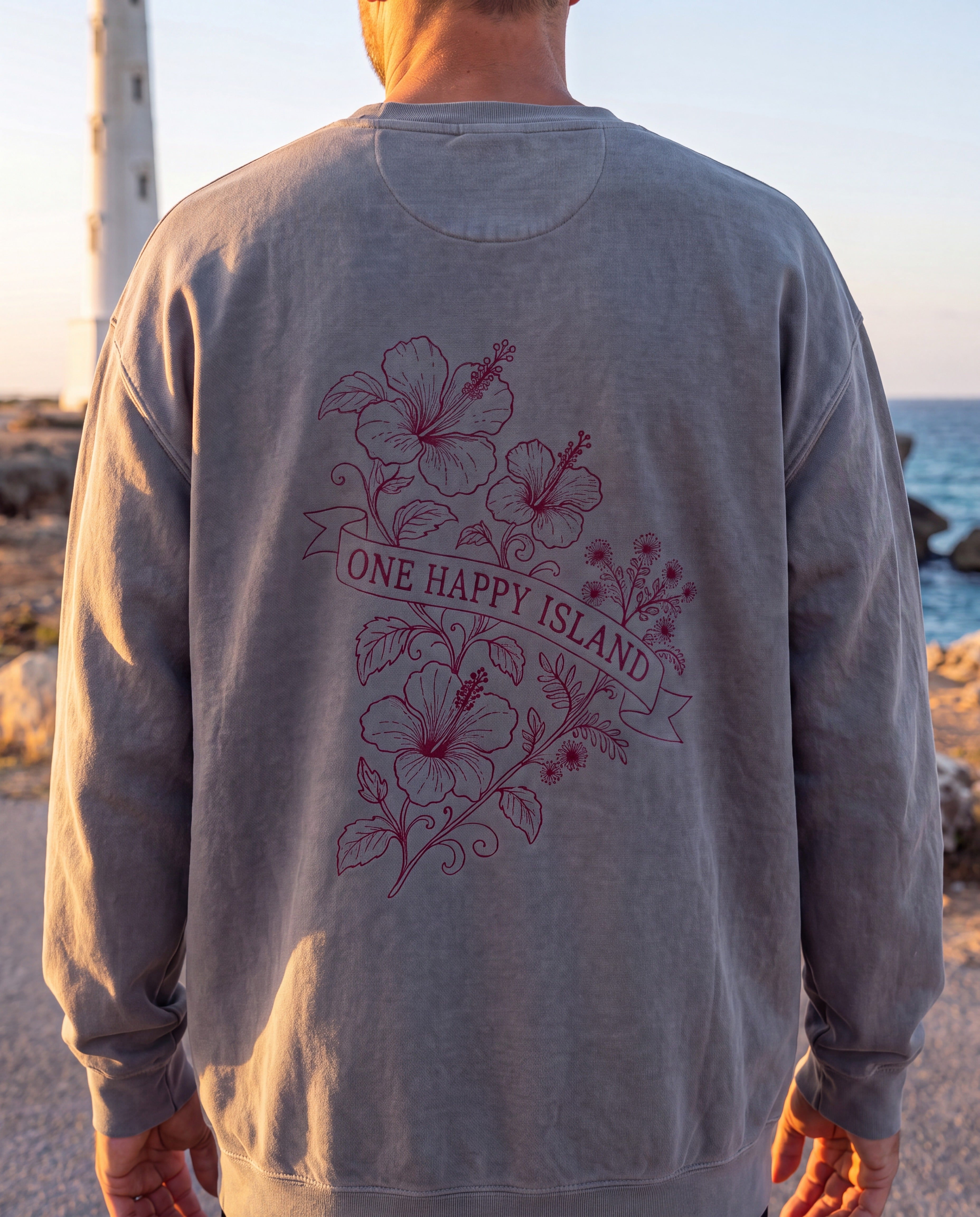 Aruba One Happy Island Banner Redwork Sweatshirt close-up of the design, Grey